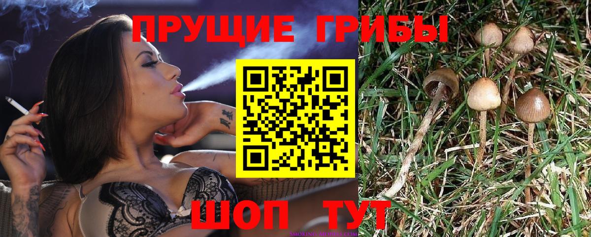 Псилоцибиновые грибы мухоморы Тимашёвск
